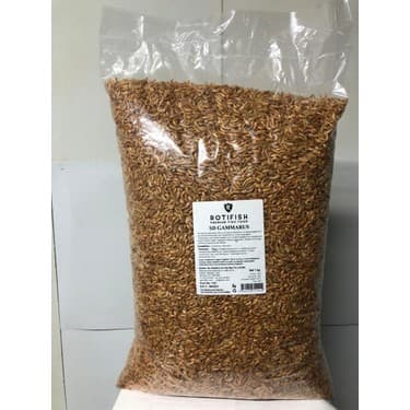 Rotifish Gammarus 1kg - 1