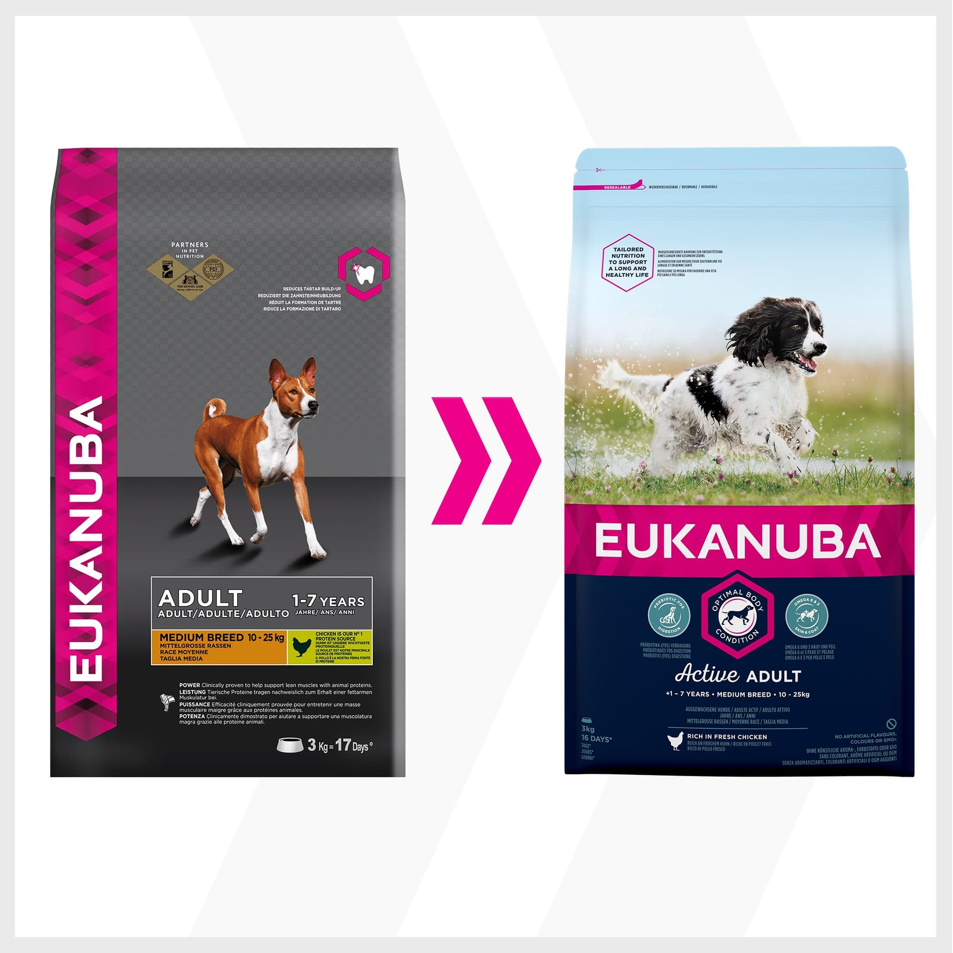 Eukanuba Adult Tavuklu Orta Irk Köpek Maması 15kg - 1