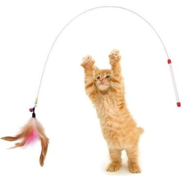 Jolly Zilli Tüylü Tel Kedi Oltası 10'lu - 1