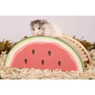 Pawise Ahşap Kemirgen Yuvası Karpuz - 1