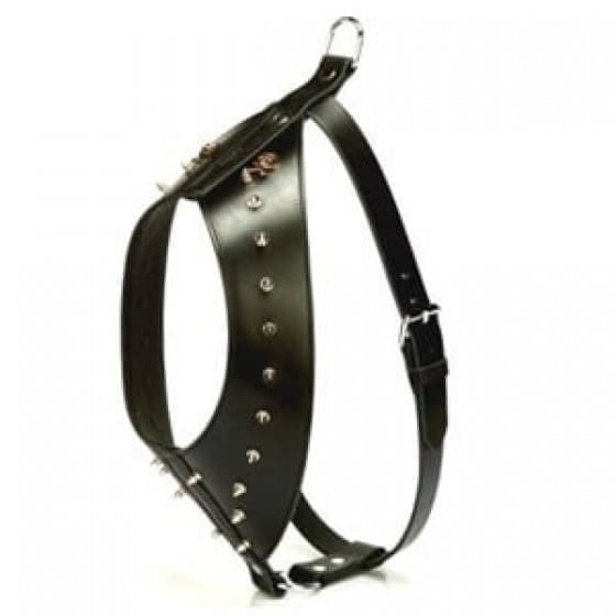 Gladyatör Göğüs Tasması L-XL Siyah - 1