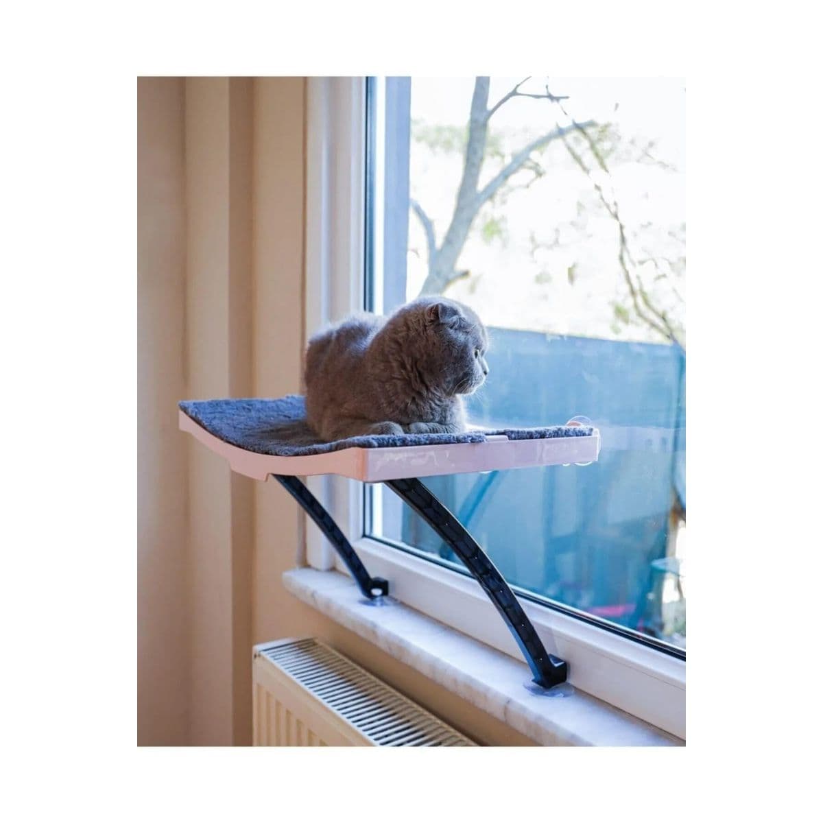 Cam Önü Asılık Kedi Yatağı - 1