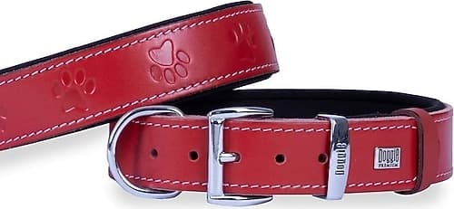 Pati Desenli Boyun Tasması M 2cm - 1