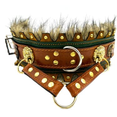 Chakie Deri Boyun Tasma 4x70cm - 1