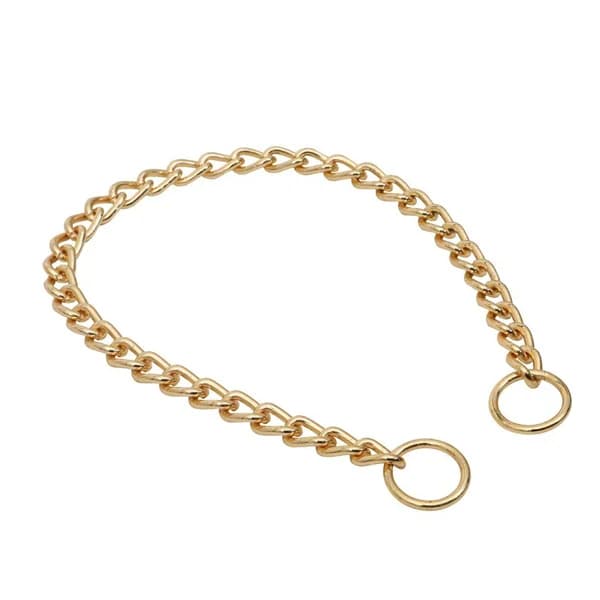 Royalist Zincir Eğitim Tasma 2.5mm 55cm - 1